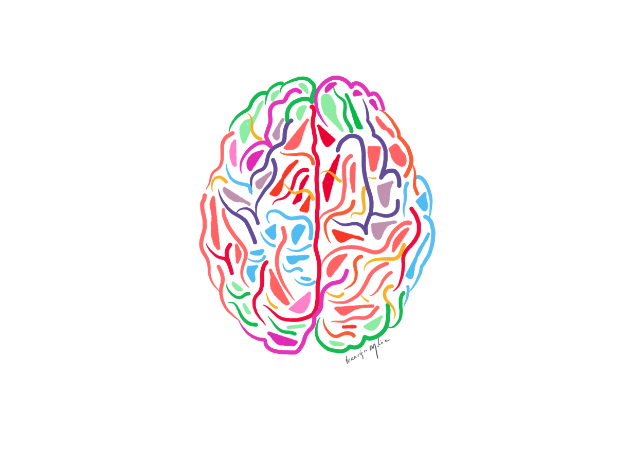 El Poder del Cíngulo: controlando el miedo a movernos y su recuperación a través del cerebro